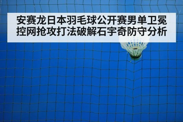 badminton net play（jiuyouhui）