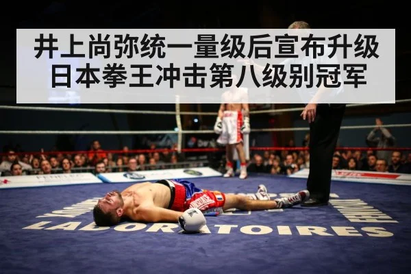Naoya Inoue boxing knockout（jiuyouhui）