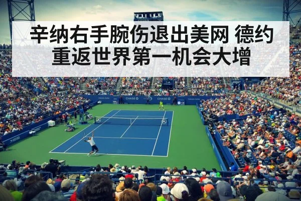 US Open tennis(jiuyouhui)