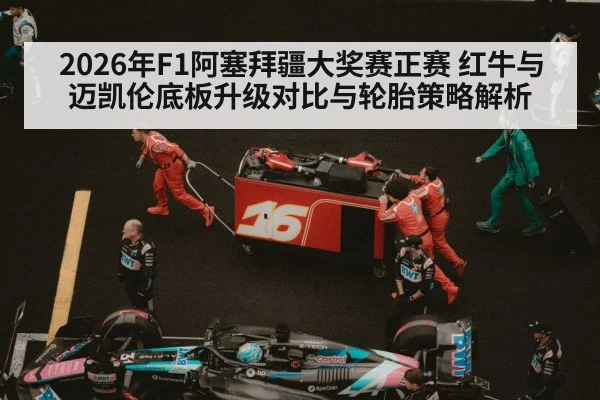 Formula 1 pit crew tire change(jiuyouhui)