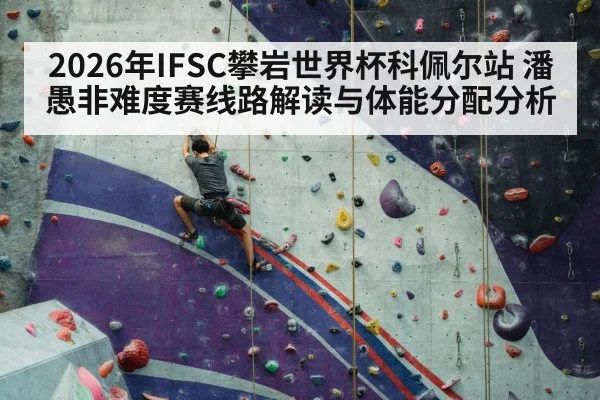 sport climbing competition wall（jiuyouhui）