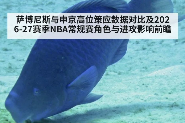 萨博尼斯与申京高位策应数据对比及2026-27赛季NBA常规赛角色与进攻影响前瞻