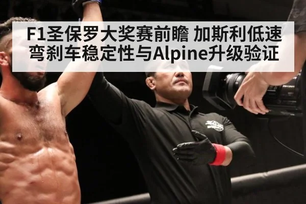 F1圣保罗大奖赛前瞻 加斯利低速弯刹车稳定性与Alpine升级验证(jiuyouhui)
